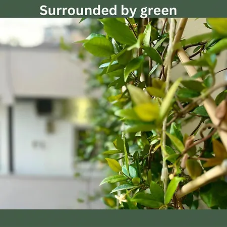 Budget Retreat & מלון טיראנה