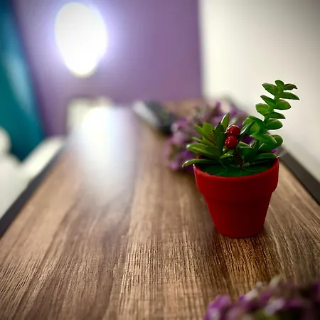 Hotel Budget Retreat & Tirana