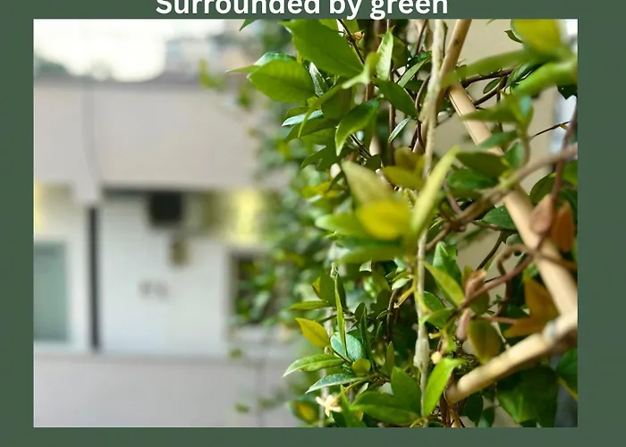 Budget Retreat & מלון טיראנה